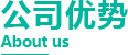 公司优势